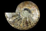 Agatized Ammonite Fossil (Half) - Madagascar #114916-1